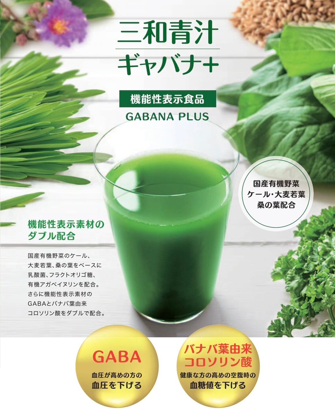 未来の青汁ウルトラパニウツ元気 95g(380mg×250粒) 【公式通販】