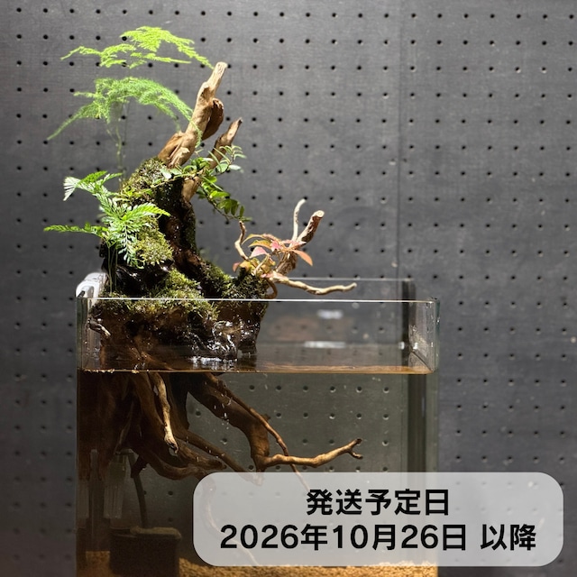 アクアテラリウム 浮根～fune～【137】｜水槽に引っかけるだけで