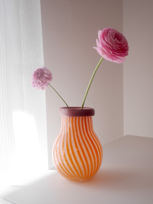 STRIPE　ORANGE