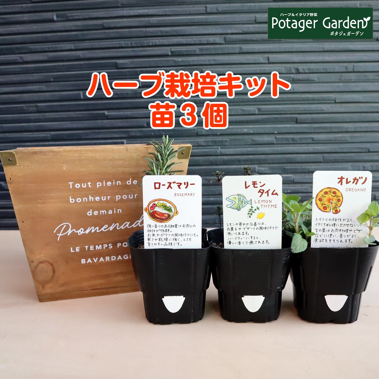 ハーブ 栽培キット ナチュラルウッド 四角 苗3個 | ハーブ苗のポタジェ