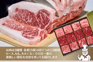 ごちそう九州牛・ステーキのジュー：九州３県食べ比べサイコロステーキ