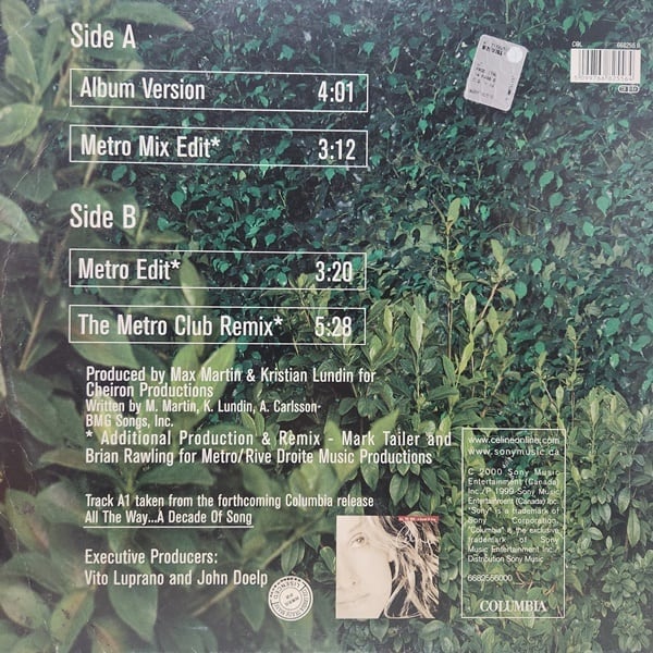 Celine Dion / That's The Way It Is [COL 668255 6, 668255 6, 6682556000] - 画像2