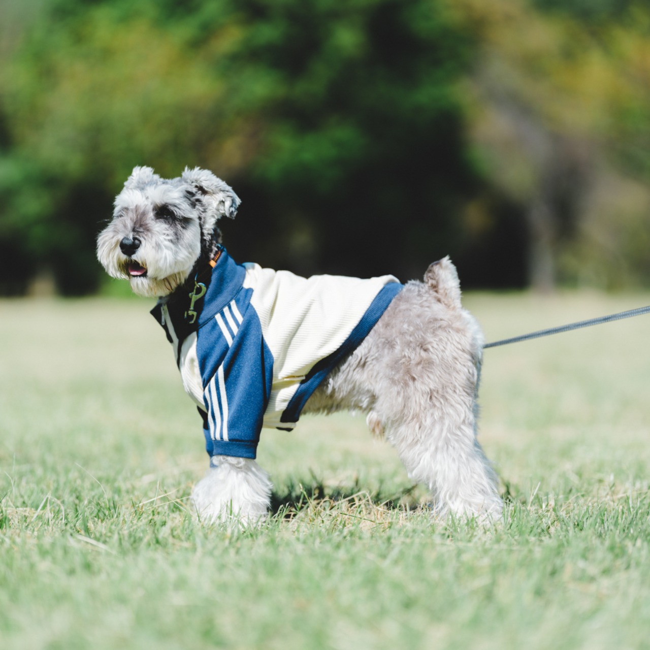 Best Partner's Jersey