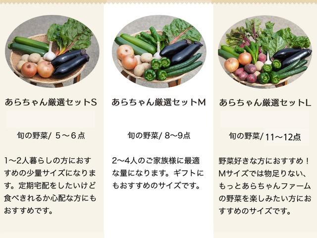 【定期便：隔週】旬の野菜セットM