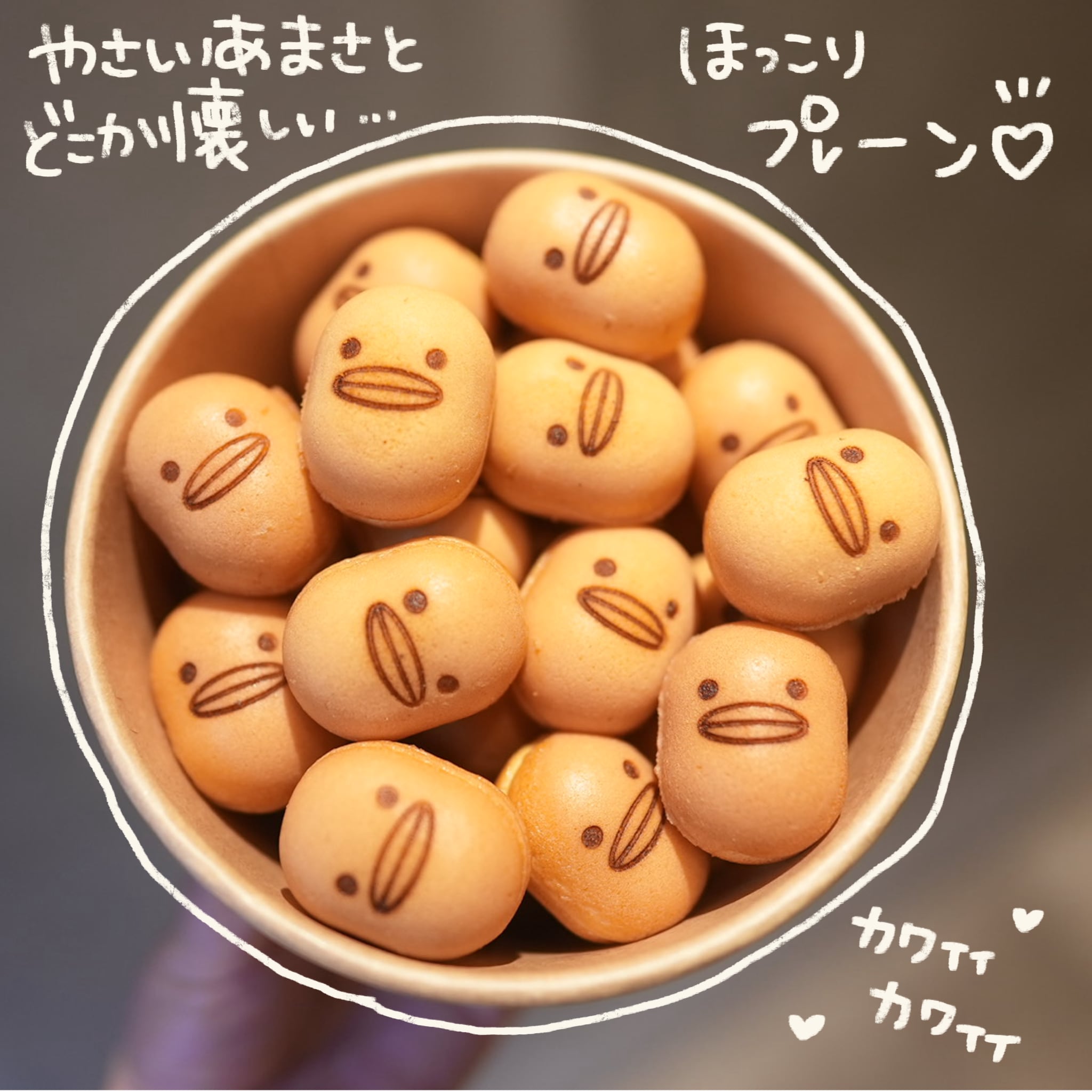 カステラのあかちゃん♡【プレーンばっかり35個入りカップ】～ベイビー