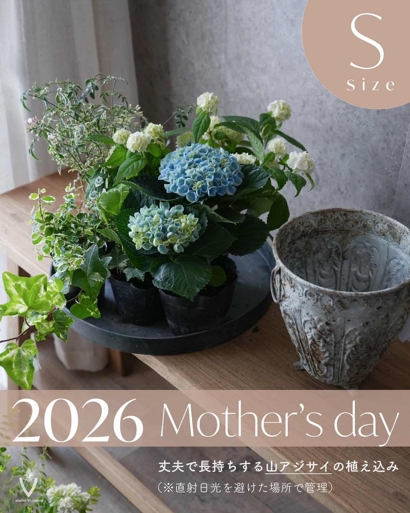 多肉植物 のリース Φ25cm 【寄せ植え】 | アトリエ ヴィネット（花苗