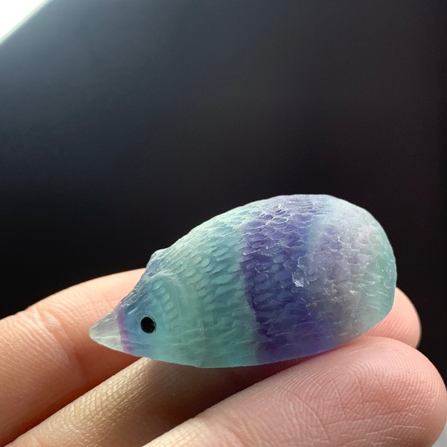 31キュートなフローライトハリネズミさん