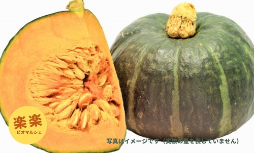 サラダかぼちゃ１玉（生で食べられる）