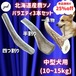 バラエティパック3本セット　中型犬用　四つ割り＆半割り＆一本物  蝦夷鹿のツノ　ワンちゃん用オモチャ　ドッグガム　鹿角　