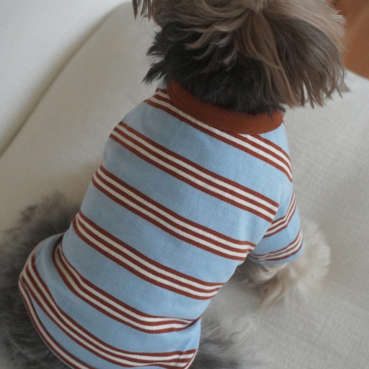 【予約】[ togethering ] Multi Striped T-Shirt｜Sky Blue - 12