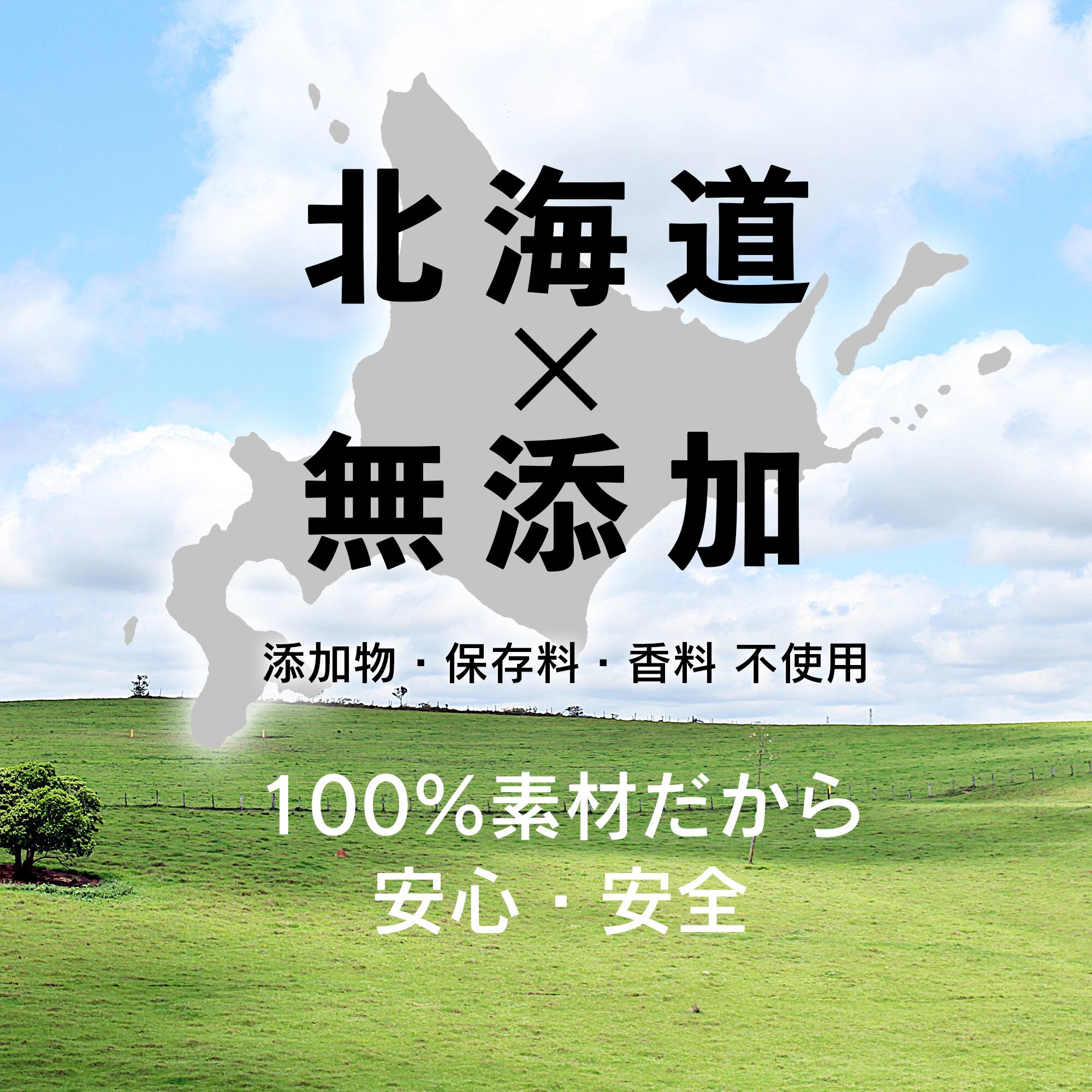 エゾ鹿スライスジャーキー 北海道 国産 犬 猫 兼用 おやつ 鹿肉