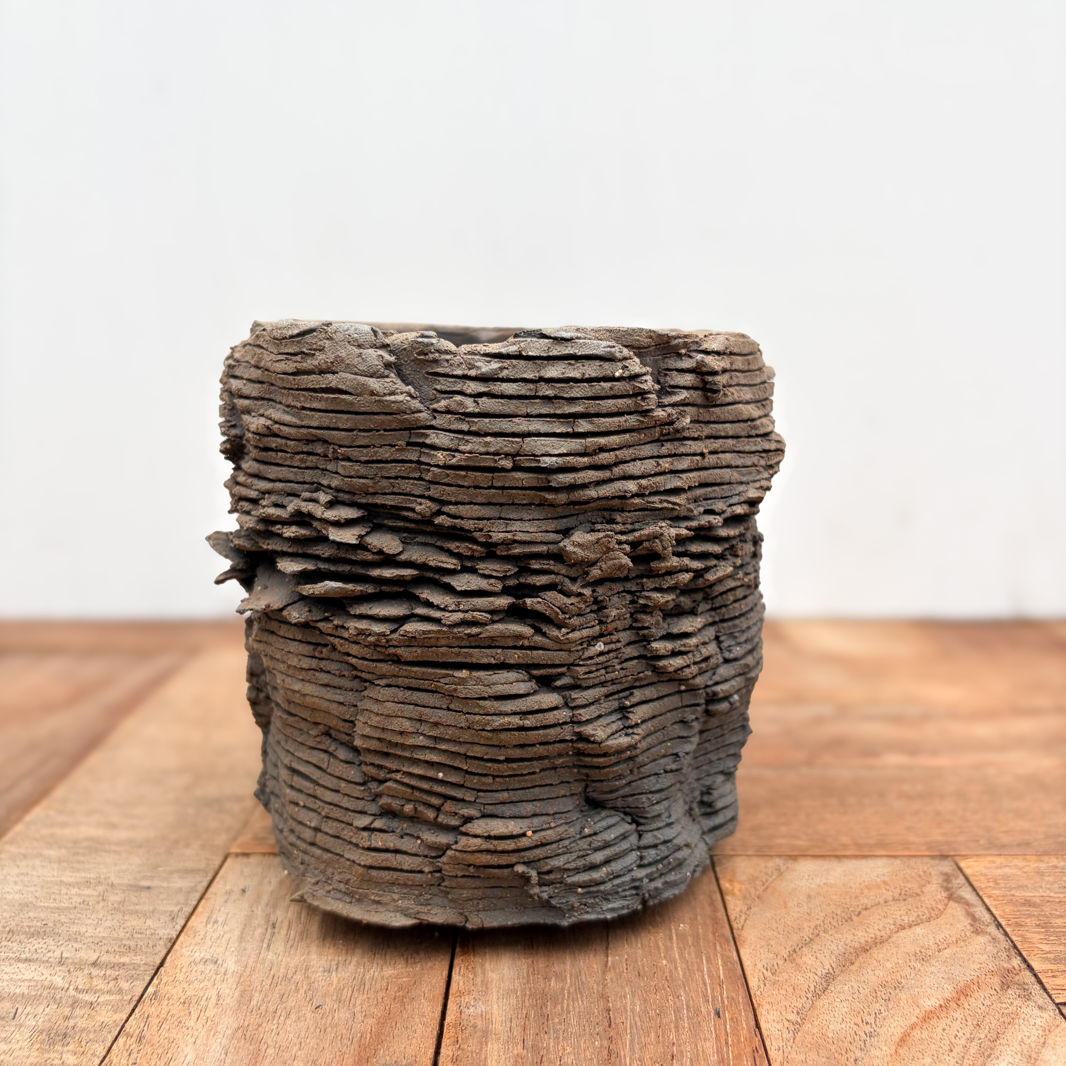 Opot by Takahito sekiguchi | RIMO'S GREEN 【Saboten & Succulent】