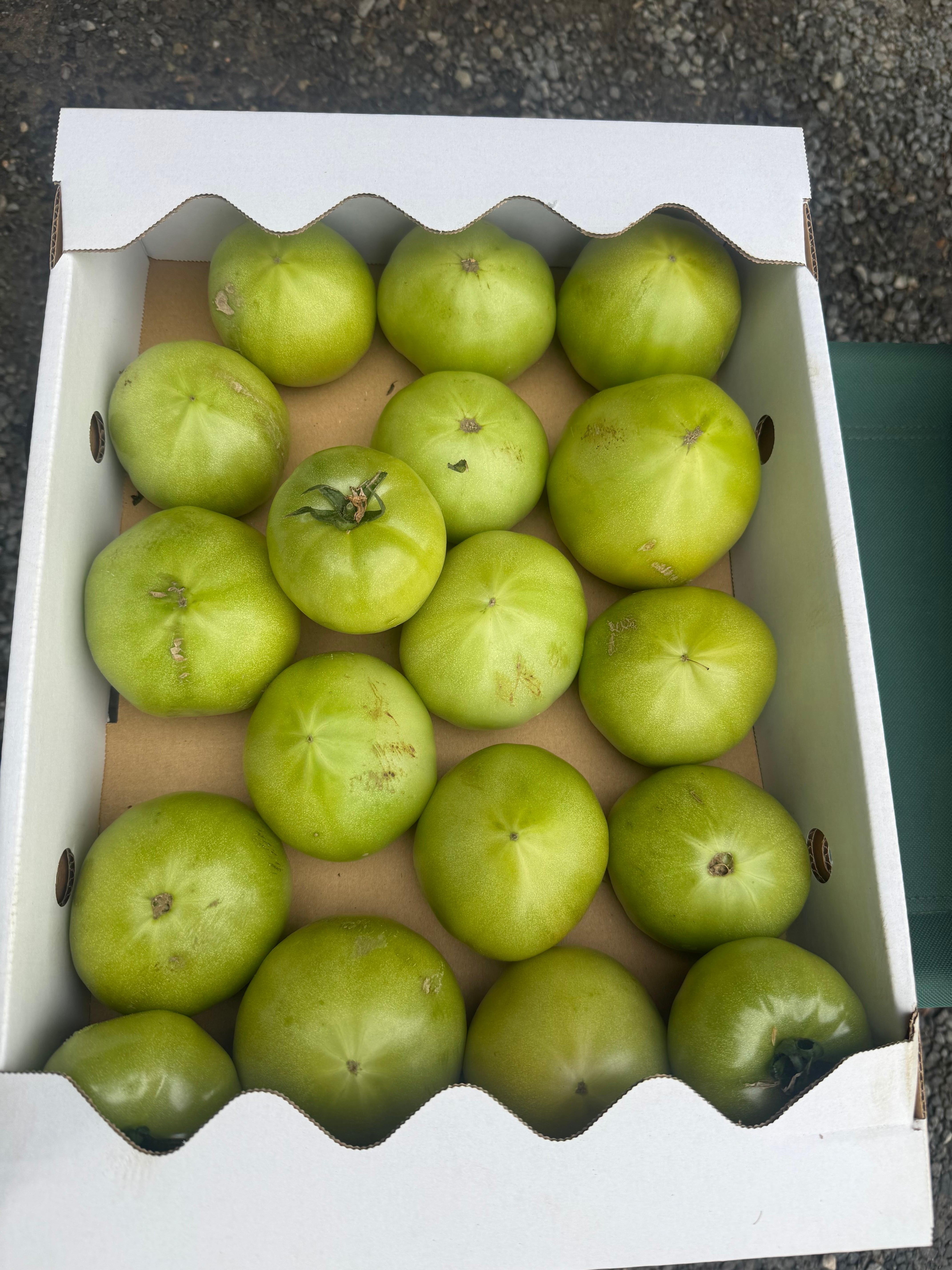 規格外トマト20キロ　真っ青 真っ青な少し訳ありトマト4Kg | 西村農園