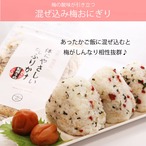 無添加 ＼選べる／ふりかけ 味噌・梅40g 納豆30g 2袋 ジッパー付き 国産素材 体にやさしい だしふりかけ 小袋  送料無料 みそ風味/ ご飯のお供 離乳食 お弁当 味噌汁 / かつお節 おかか あおさ あご とろろ昆布 わかめ ミネラル 化学調味料 保存料 着色料 すべて不使用 完全無添加