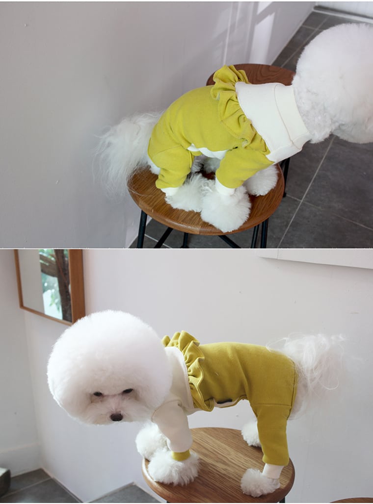 【SALE】斜線フリルオールインワン S ~ XL 2color  /  犬服 新作 オールインワン つなぎ ドッグウェア 小型犬 中型犬