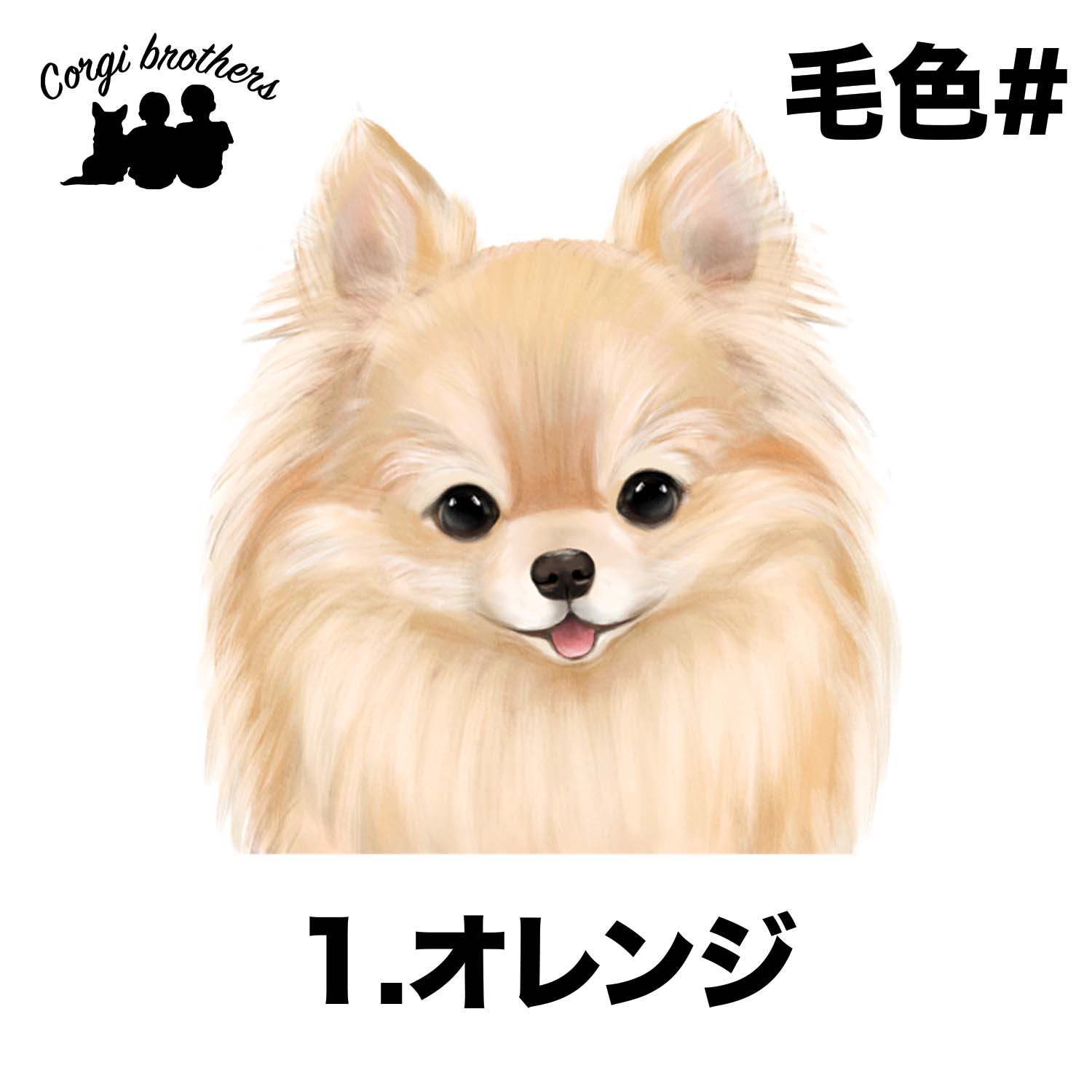 ポメラニアン 水彩画風 毛色6色 】 タオルハンカチ ピンク＆ブルー2枚