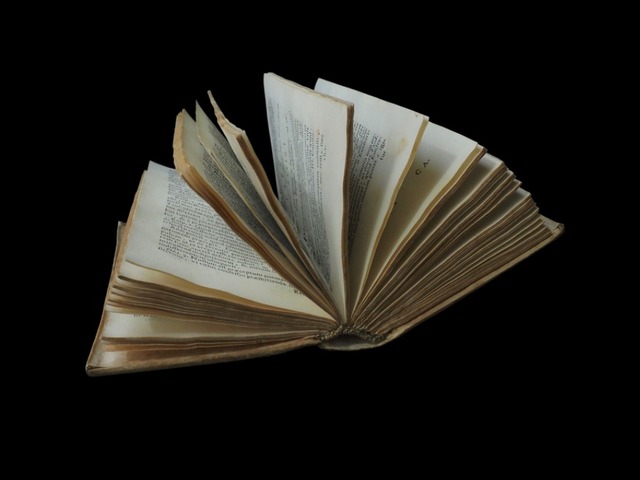 羊皮紙の古書 ⅩⅫ