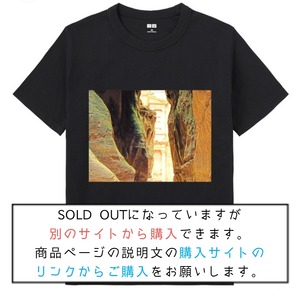 世界を旅するTシャツ [ペトラ遺跡]