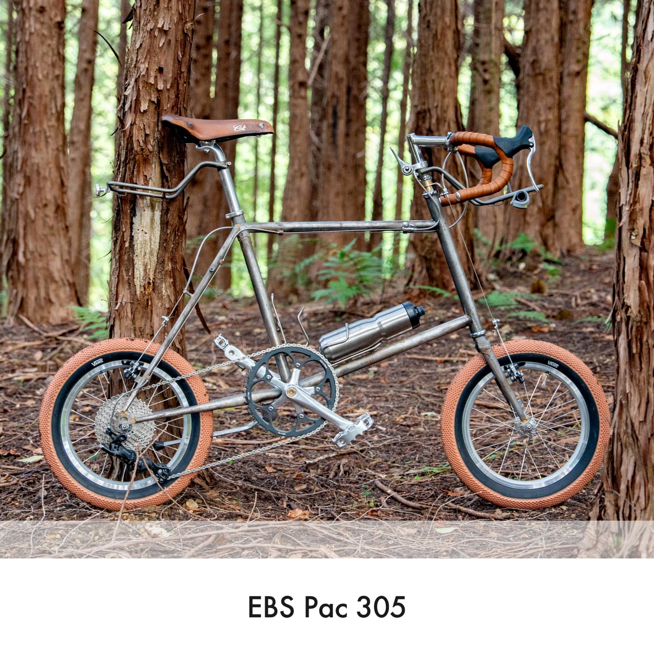 EBS ONLINE STORE