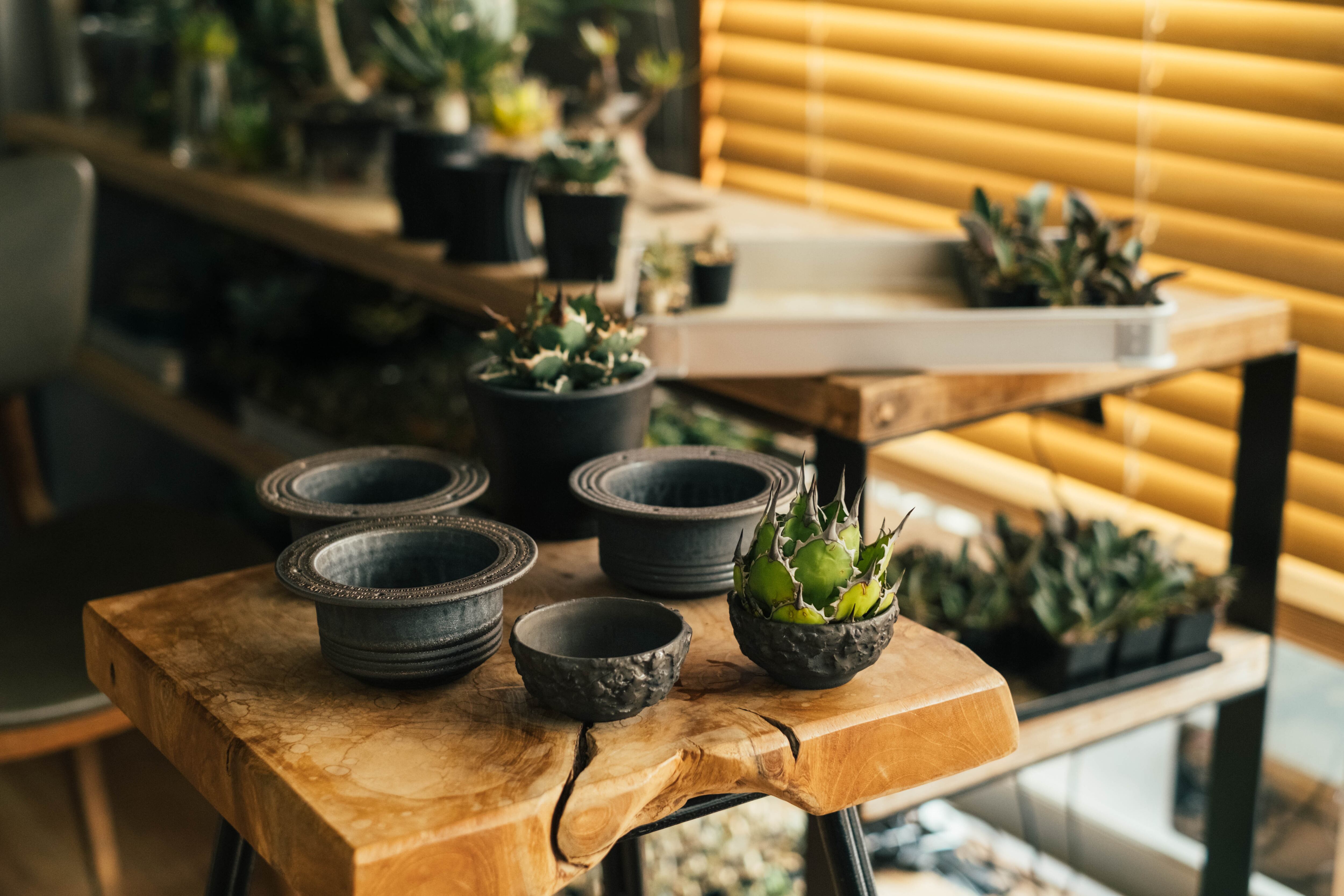 asphalt (S)- TOKYO BOTANICAL POT | TOKYO BOTANICAL LIFE