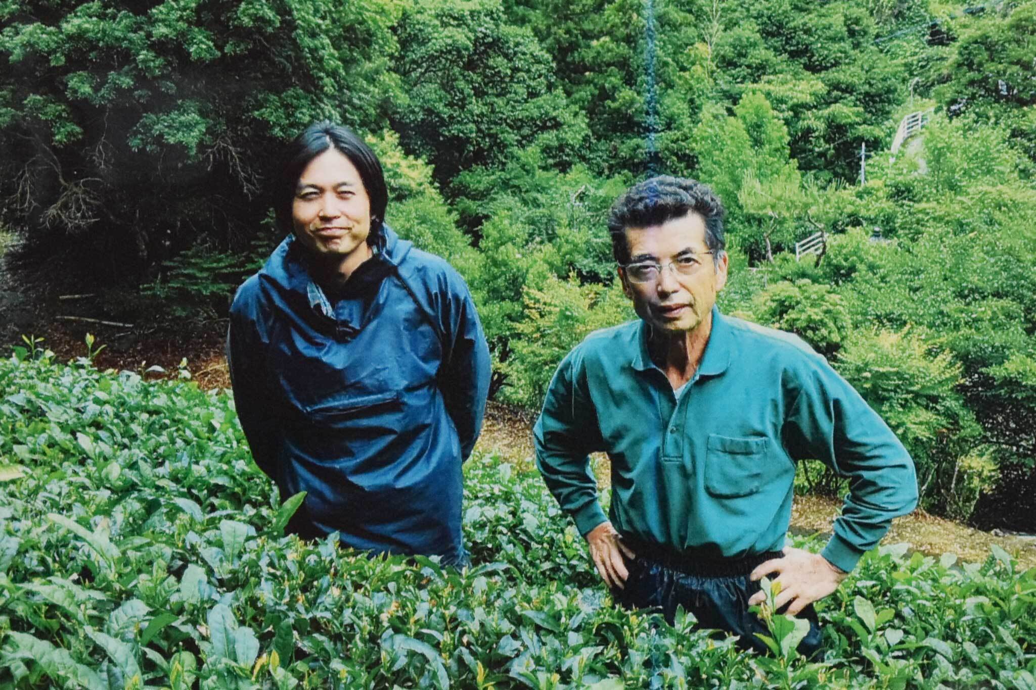 緑茶 いずみ茶 松田製茶園 100g ｜ 2026年新茶 ｜ | いずみ五家荘 秘境