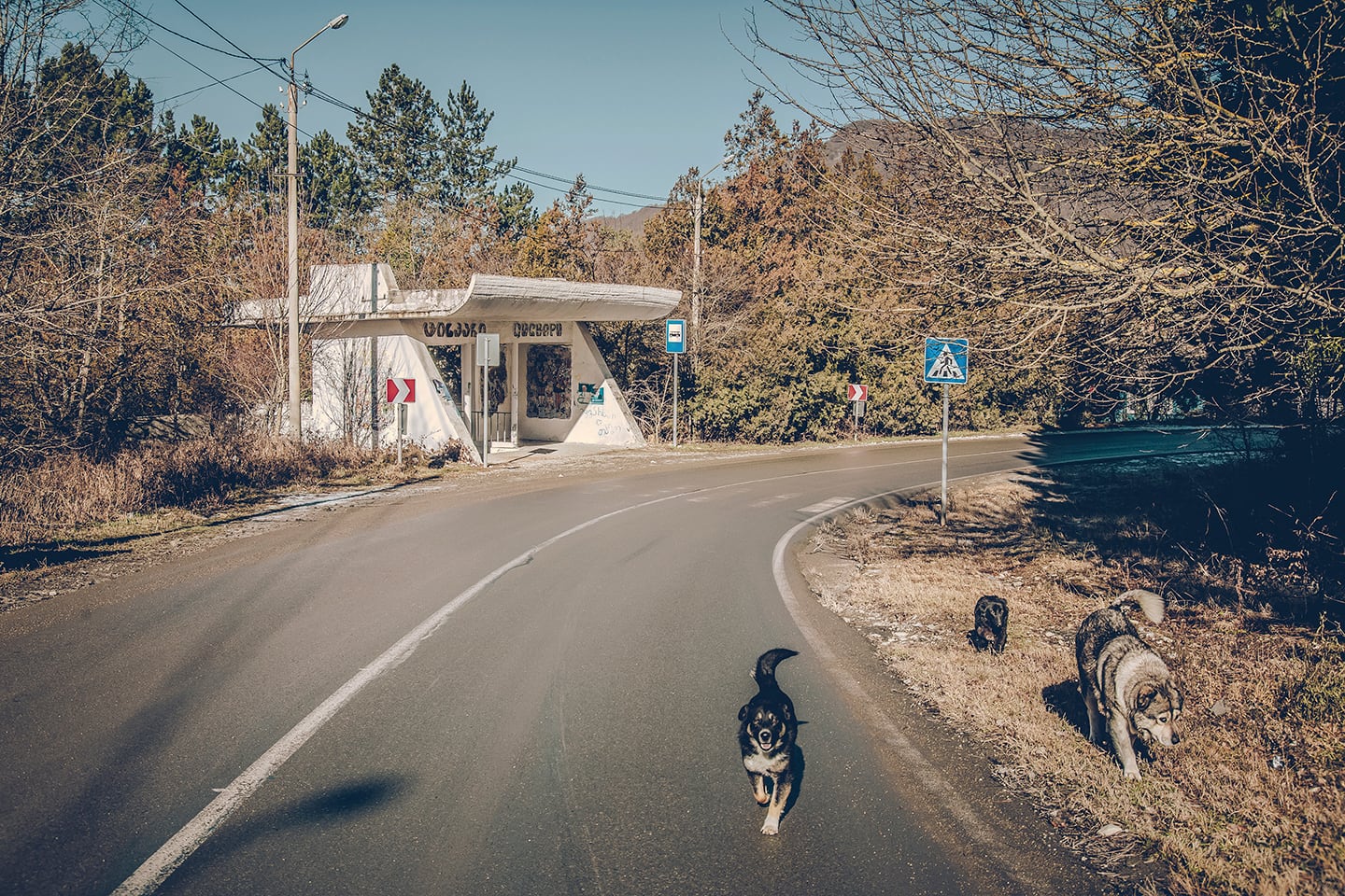 バス停のなぞ 意外も意外なその名のわけ。横浜市金沢区「イガイ根公園前」バス停