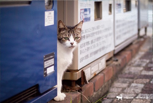 post card 067