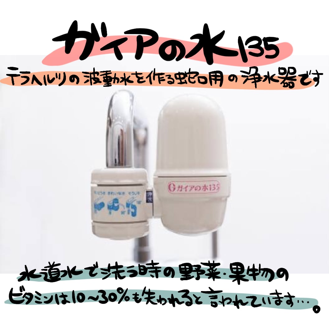 ガイアの水135 蛇口用浄水器【送料無料】 | ENtoWA