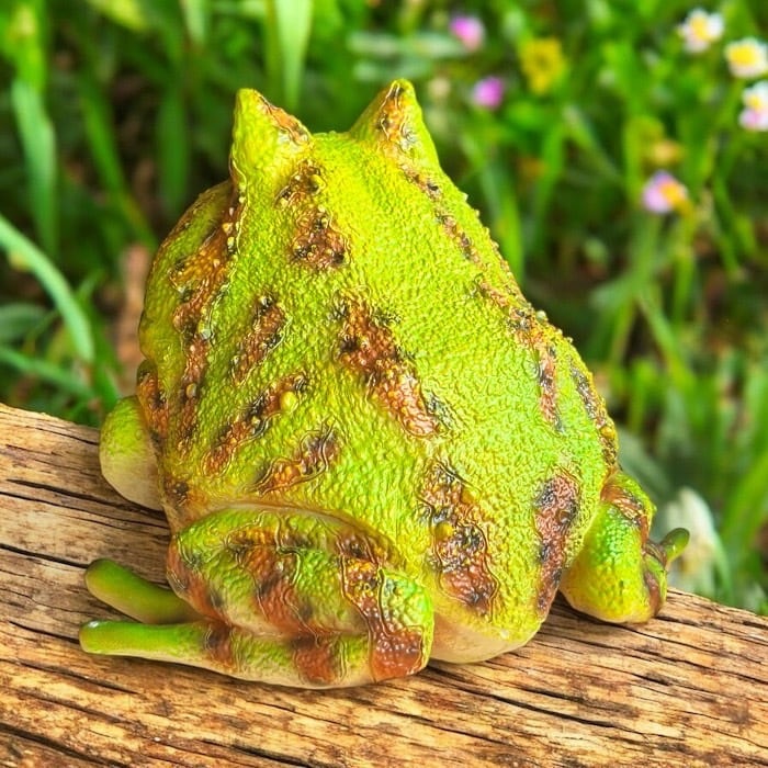 カエルの置物 かえる アマガエル リアル インテリア ガーデニング