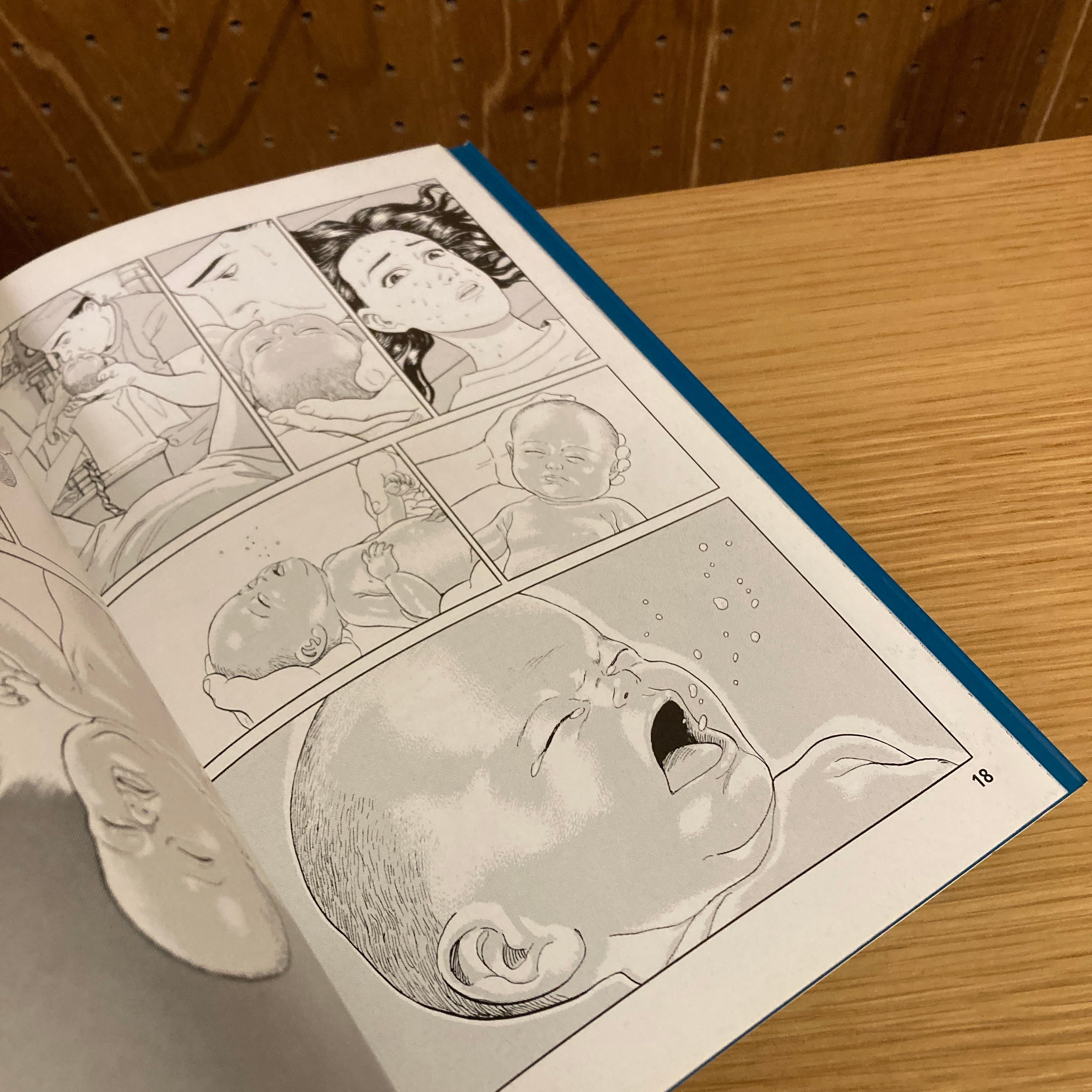 異卡力 ―イカル― / 原作｜メビウス、漫画｜谷口ジロー、訳｜長谷川