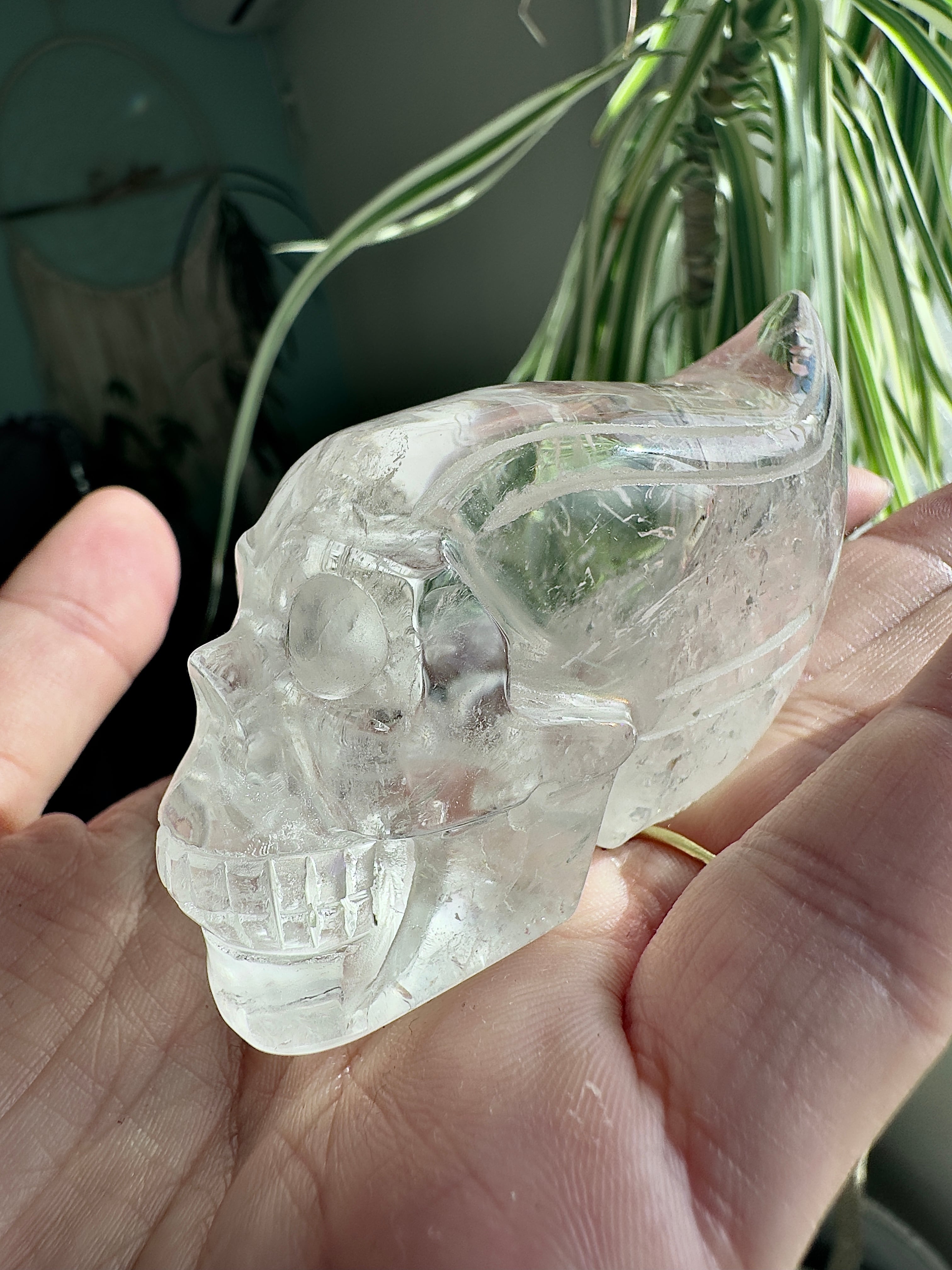 ブラジル産レムリアンシードトラベラースカル