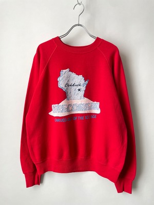 Wisconsin sweat shirt