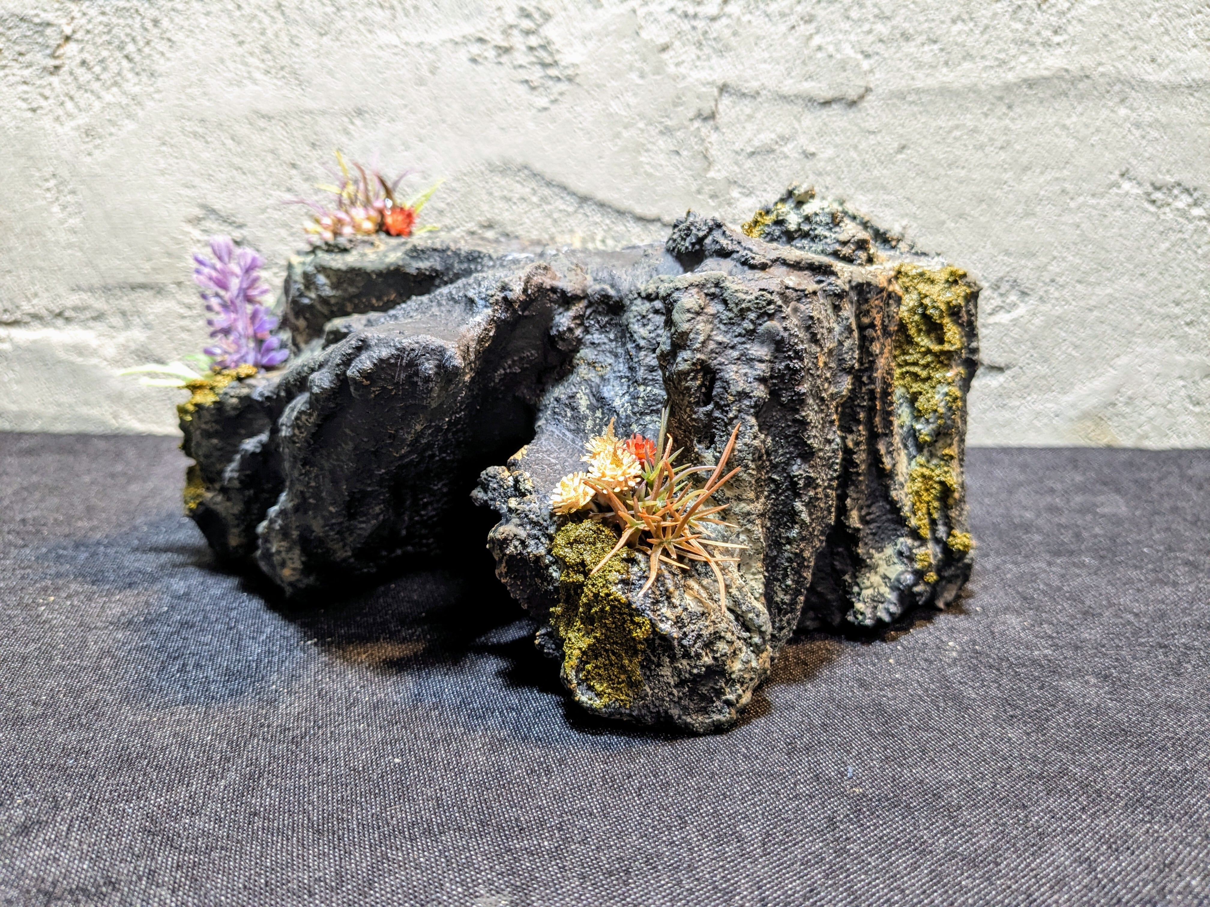 慧 Kei】オリジナル ウェットシェルター（ブラック） | 爬虫類用造形