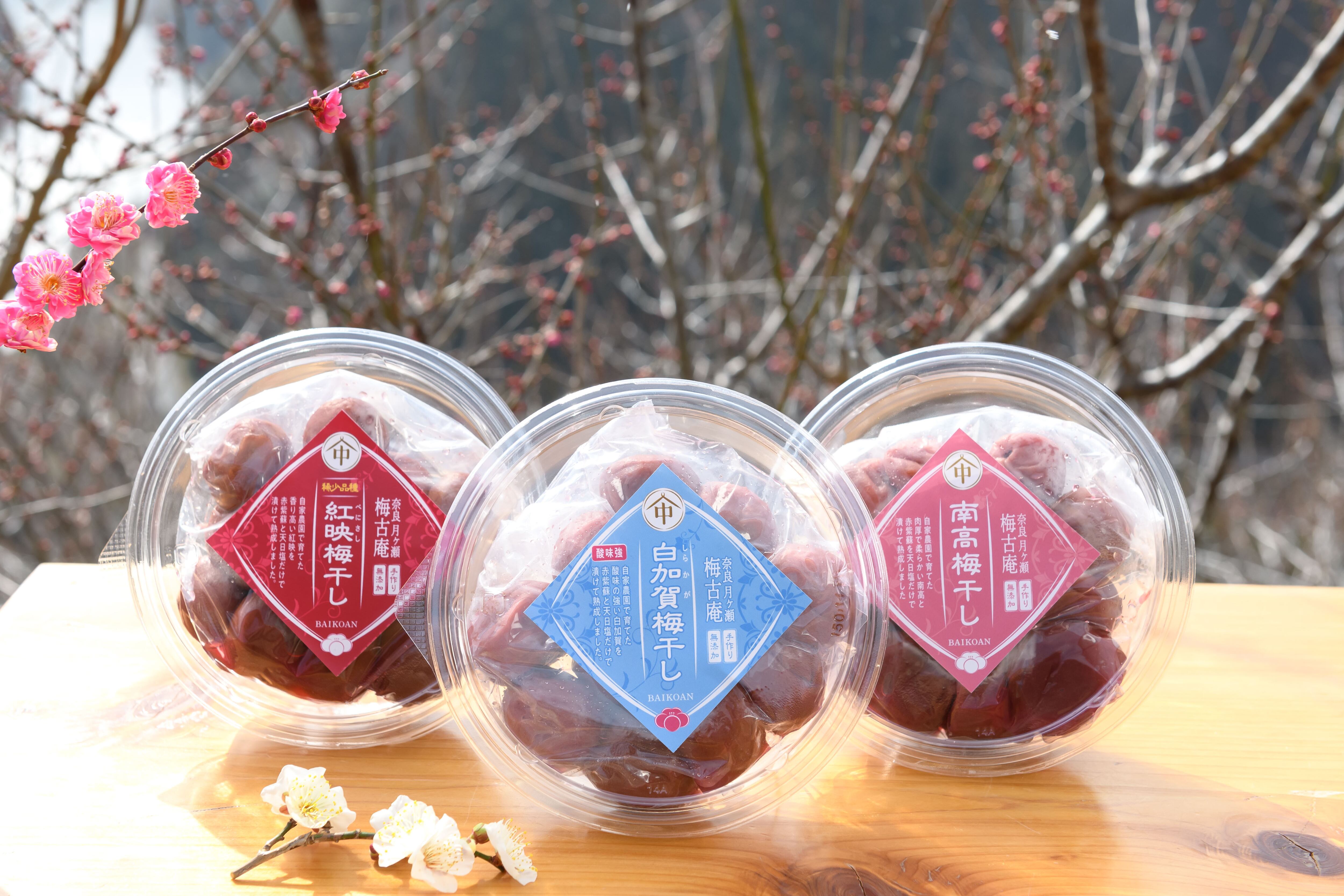 烏梅づくりの里 梅古庵