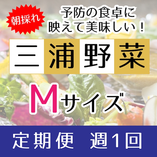 『定期便 週1回』【Mサイズ】旬の朝採れ 三浦野菜