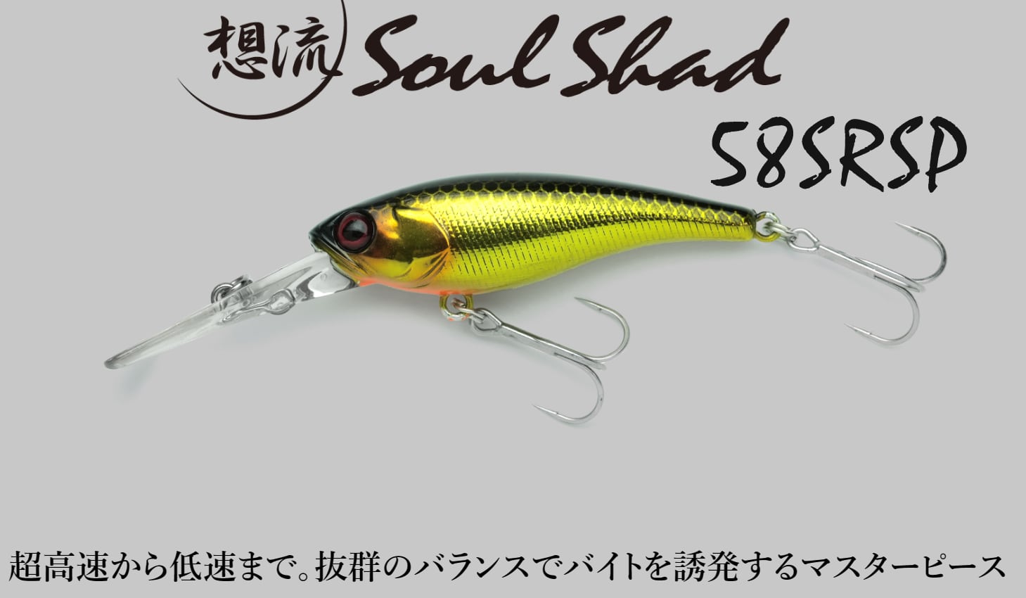 ワーム・ルアー大量セット！DRT ・ゲーリー・OSP・ジャッカル・エバーグリーンなど バス釣り　複数落札、複数同梱、直接引き取り可能 バス釣り ワーム 25パックセット ジャッカル デプス 一誠 レイド