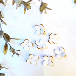 【アウトレット】カランコエ(ピン無しタイプ）7個入(ホワイト)