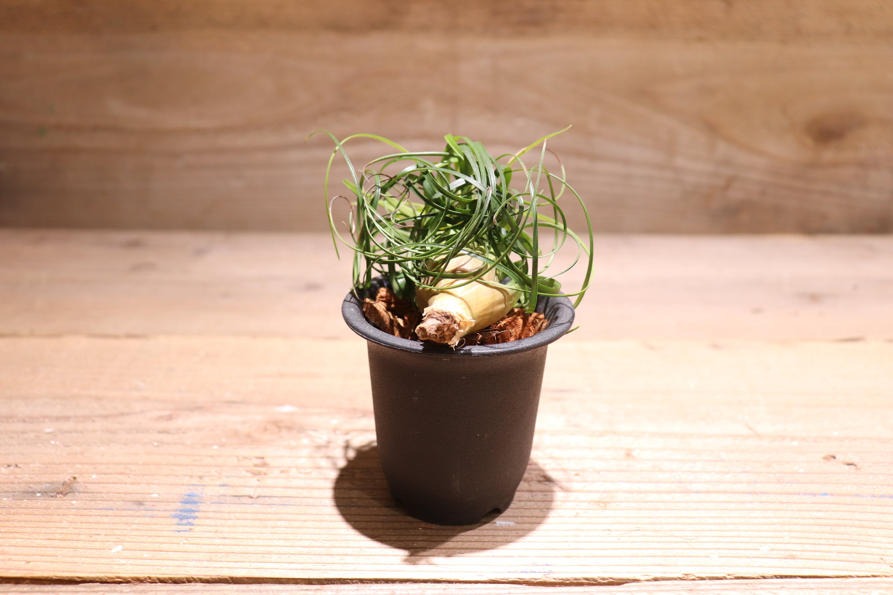 e374bebc916984e395665f8ce80dfc