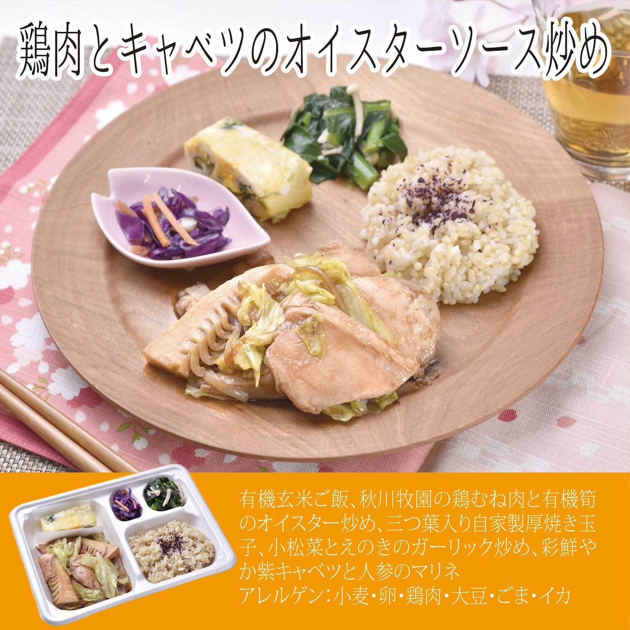 （冷凍）ととのう弁当　12食セット（6種類×各２食）組合せ内容は毎月変わります