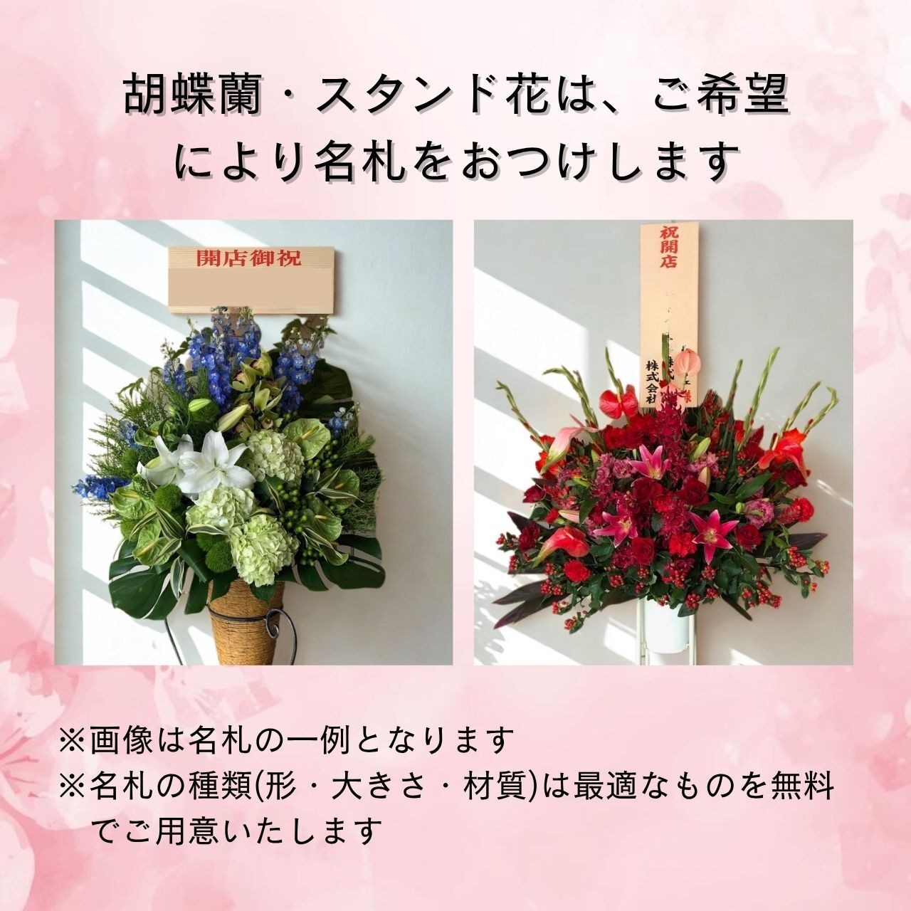 【御祝】胡蝶蘭 白3本立ち 40~45輪・画像3