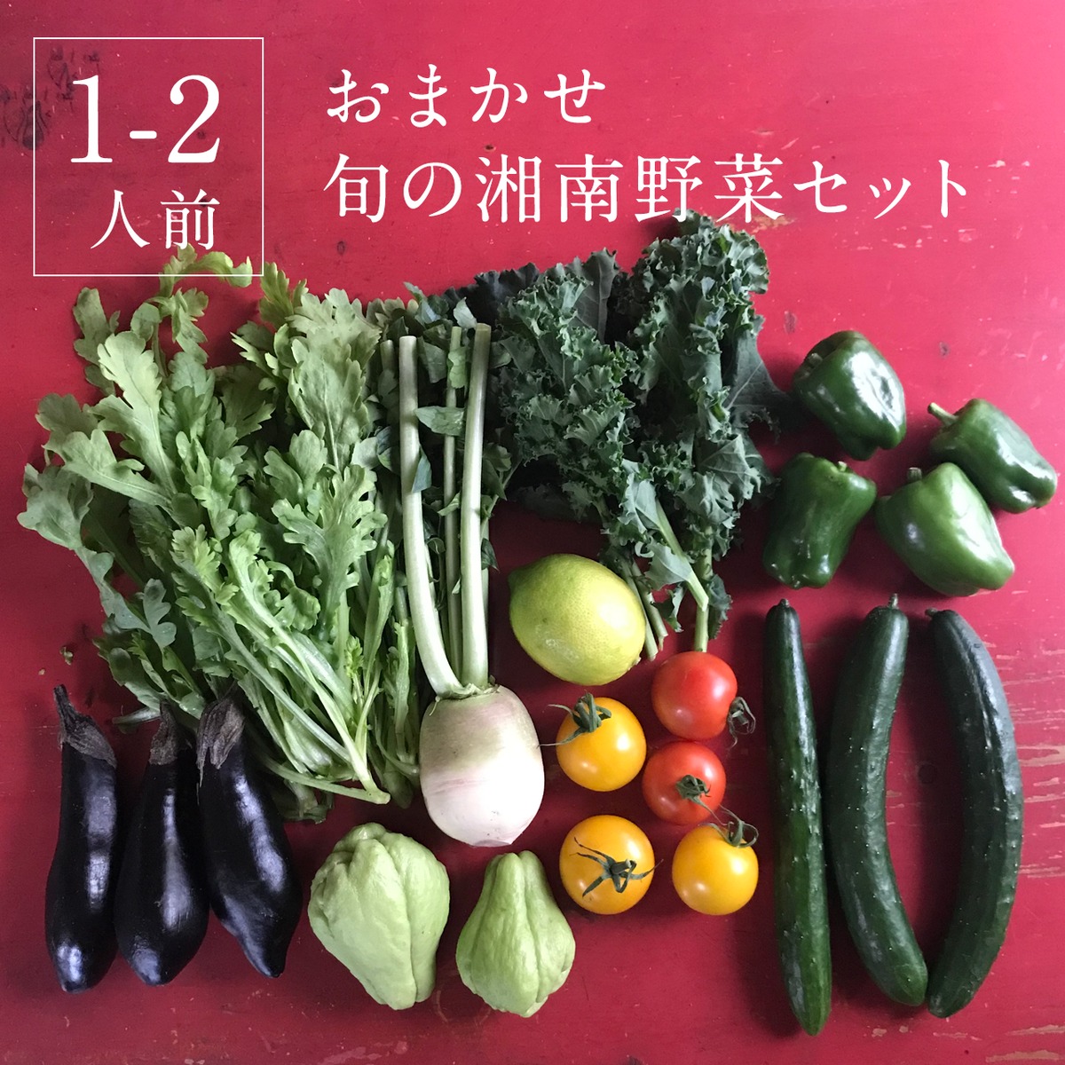 旬の湘南野菜 お得な詰め合わせセット《1〜2人用》 | 湘南野菜