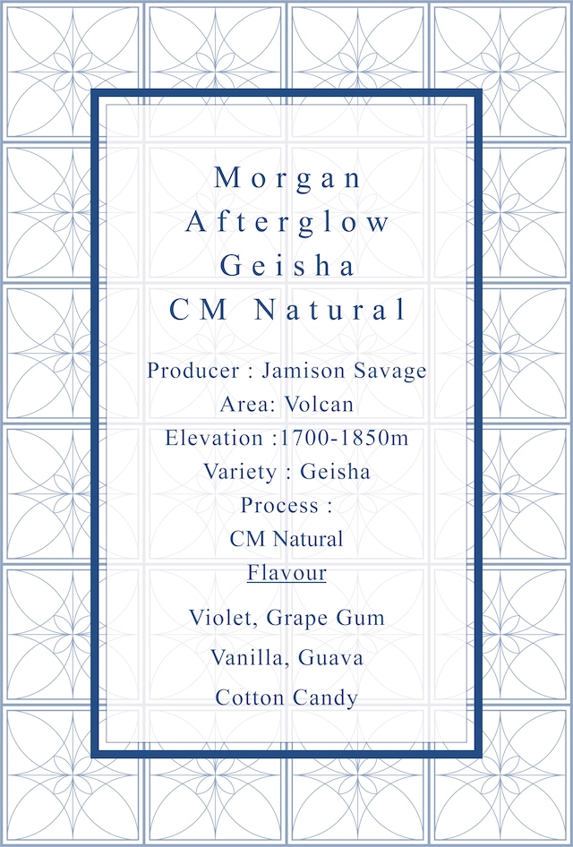 [18個限定] Morgan Afterglow Geisha CM Natural