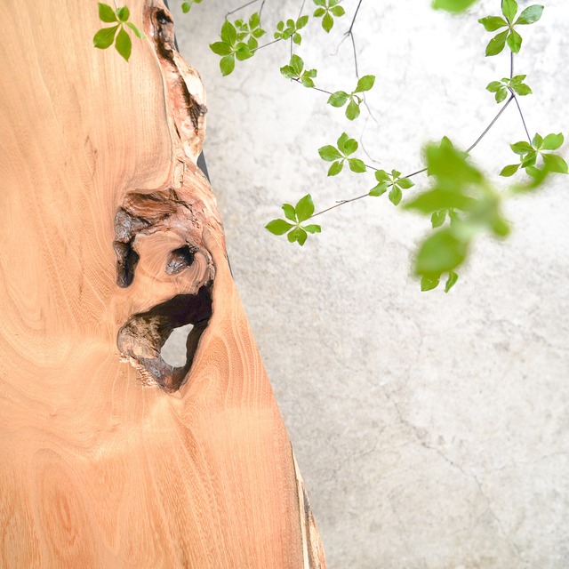 ニセアカシアの 一枚板ローテーブル