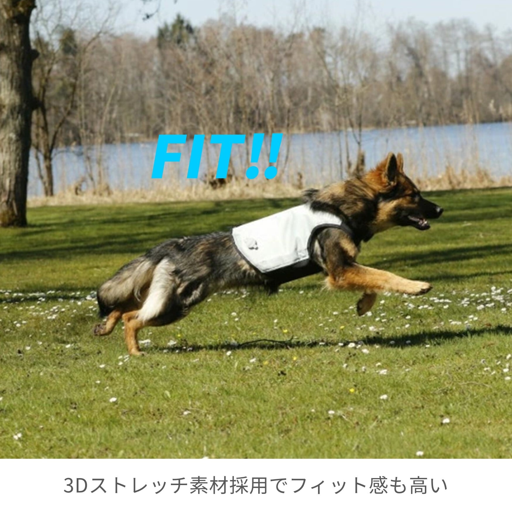 カニクールベスト サイズL CANI COOL]カニクール クールコート Lサイズ【クールジャケット