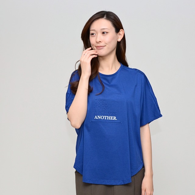 【極上のさら肌】  シルケット綿・ボックスロゴTシャツ ‐ LEO-2501C ブルー ‐