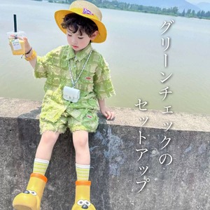 グリーンチェックセットアップ