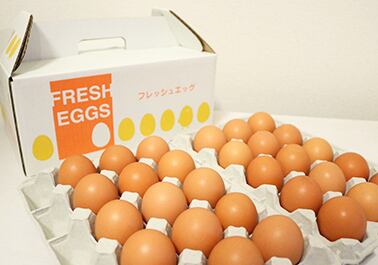 福地鶏の卵　30個セット（58g～70g）