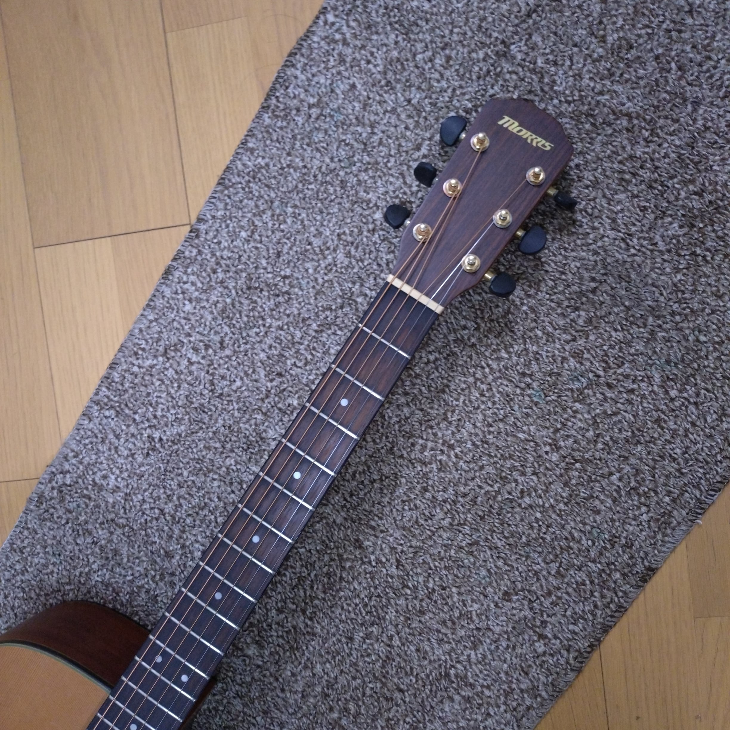 Morris S-30 アコースティックギター ソロギター | 川崎楽器【楽器