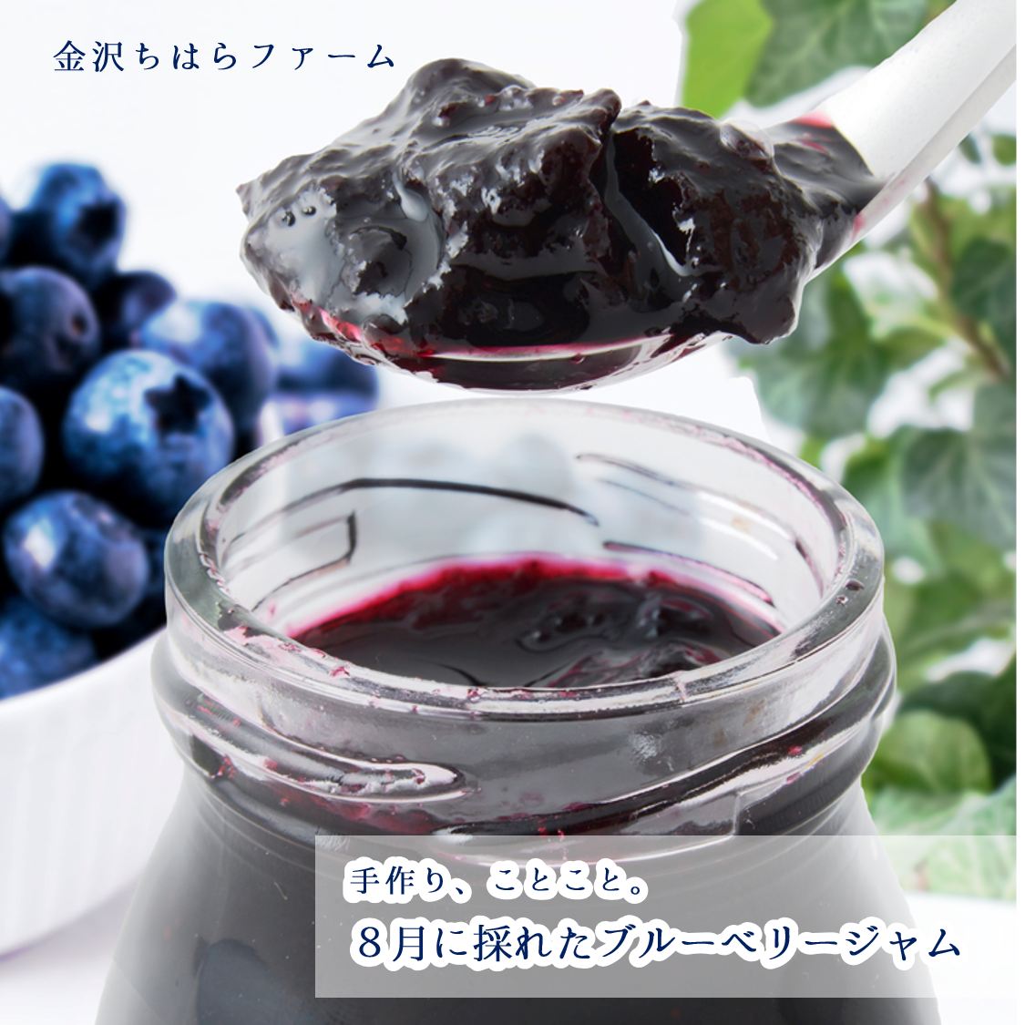 8月に農園で採れたブルーベリーのジャム120g×2（お取り寄せグルメ