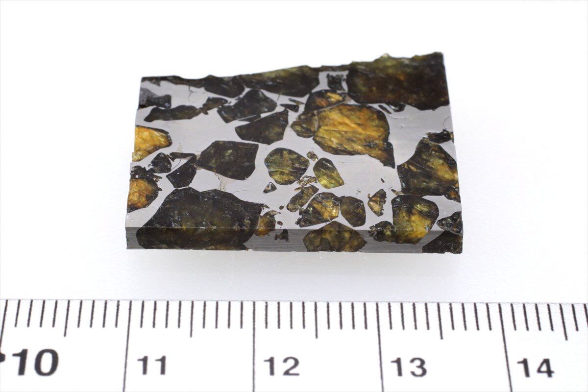 セイムチャン 7.7g スライス カット 標本 石鉄 隕石 パラサイト Seymchan 13 | 隕石販売.jp powered by BASE